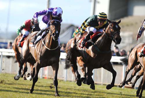 Drombeg Dawn (dark green) and Toraidhe lock horns