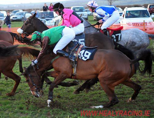Ladies Cup fav, Near Perfection (John Thomas McNamara up) makes a mistake in his days with Mark Molloy