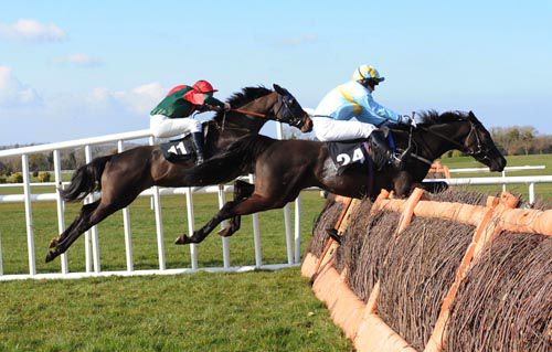 Dibella jumps the final flight ahead of Lisrenny Lady