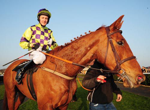 Ard Agus Fada agus Shane Jackson