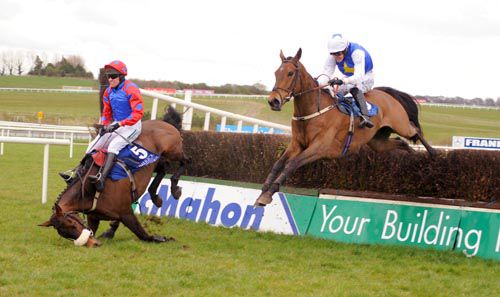 Aintree Grand National hopefuls Oscar Time (falling) and Bluesea Cracker in action at Limerick in '09