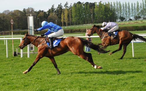 Memories Of Milan (near side) and Tim Carroll just beat Barel Of Laughs