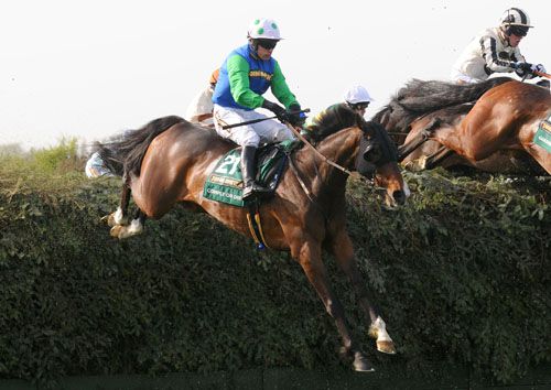 David Johnson's Grand National winner, Comply Or Die