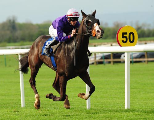 Park Ranger a cosy winner under Fran Berry