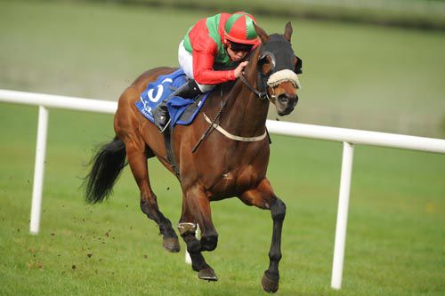 Northern Rocked and Leigh Roche win at Naas