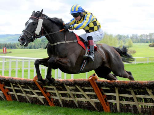 Like The Da and Mick Darcy pop the last 