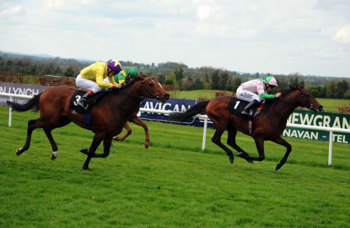 Fame And Glory beats Nebula Storm (yellow) at Navan last Sunday