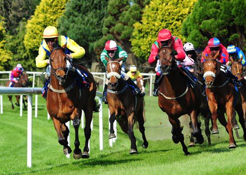 Lisselan Catcher leads eventual winner Leblon (green colours, white hoops) into the straight