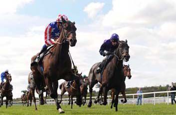 Castle Bar Sling (stripped sleeves) wins from   Lime Tree Valley