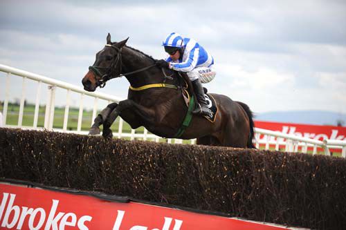Realt Dubh runs in the Boylesports.com Champion Chase today