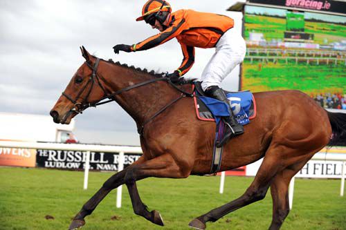 David Kiely gives easy bumper winner Reizovic a well-deserved pat on the neck 