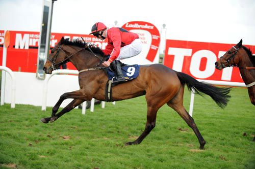 Rising Time wins the bumper