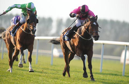 Parkers Mill (right) gets the better of Cannon Hill at Tipperary