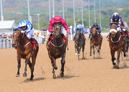 Naseem Sea (left) beats Danziger at Dundalk with fav Pea Shooter (noseband) back in 3rd