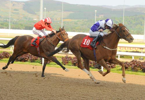 Darraghs Day brings up Niall McCullagh's double beating Sparring Partner