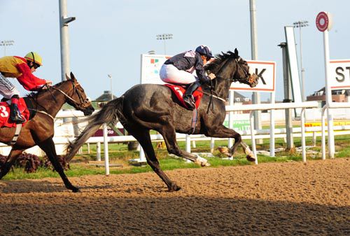 Lexi's Boy holds off Black Belt at Dundalk