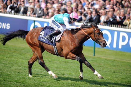 Frankel