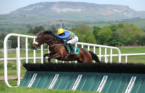 Laffan Island and Mick Darcy pop the last at Sligo to win for trainer Michael Moran 