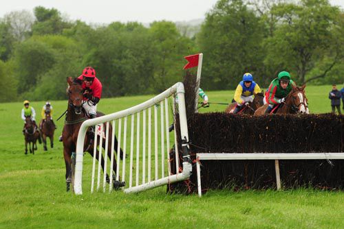 Starkie ran out at the last leaving Wings Of Icarus (white-face) to dead-heat with Tabhactach in a point-to-point 