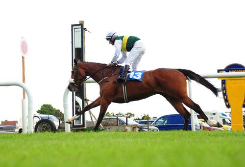 Ravissante and Pat Shanahan do it in style