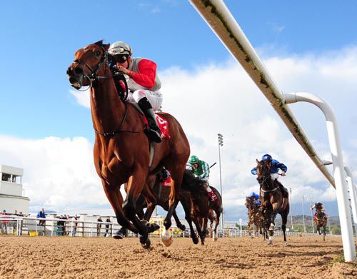 Muckle Bahoochie takes the Dundalk opener