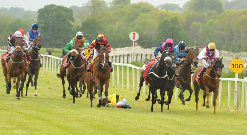 Winner Amour Fou (centre red/black) is about to win as Johnny Killahena is unseated from the Munster Maori 