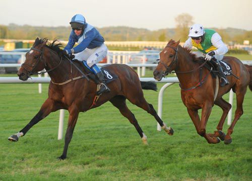 Peak Oil and James Carroll hold off the challenge of Fairview Star