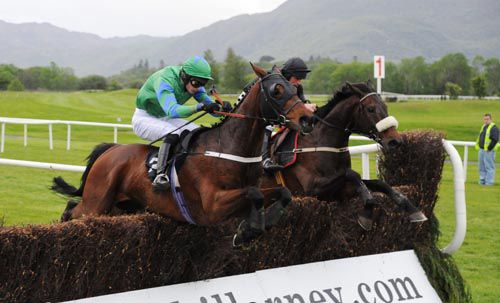 Optimum Force (blinkers) jumps the last alongside the favourite Rudi Trucker