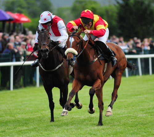 Dingaling & Laura Hourigan (noseband) get the better of Galzig & Pauline Ryan
