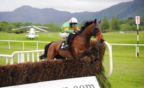 Harold's Cross & Alan Crowe skip over the last