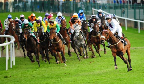Golden Ticket, on the rail with white cap, tracks wide-running Morning Ireland, right