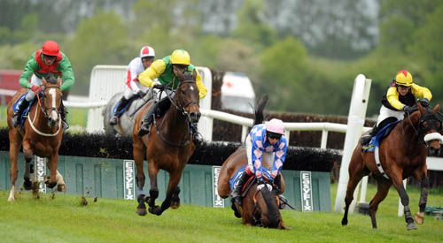 Blackwell Synergy (green & yellow) heads Loch Long as Sun Fisher crashes out