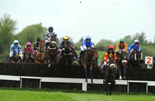 Runners clear the first fence with eventual winner Hot Friend (orange & green) just behind the leaders