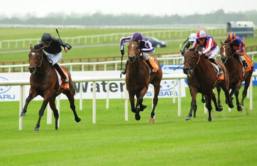 Roderic O'Connor stays on well to beat stable companion Oracle (rail) & fav Dubawi Gold staying on