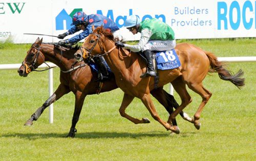 Fuschia Belle (leading) gets the better of Phoenix Rose