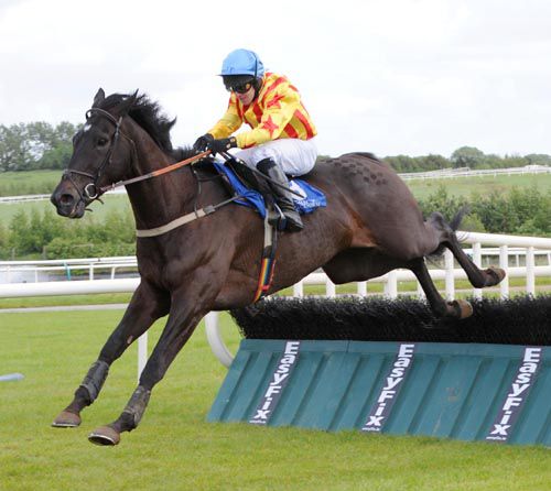 Three Way Bond jumps the last under Andrew Leigh