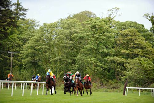 Runners in The Info@countysligoraces.com maiden hurdle turn into the straight 