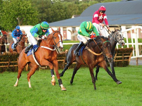 Eyre Apparent (left) Presenting Nama (centre) and God's County (right) settle down to fight it out