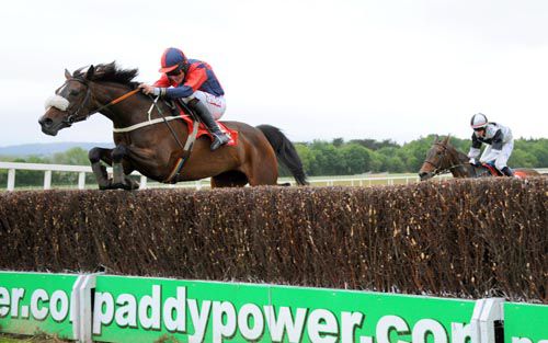 Back Of The Pack has Coscorrig's measure at Cork