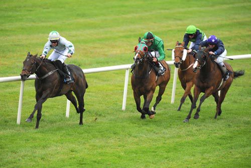 Blue Dahlia beats her 3 rivals at Down Royal