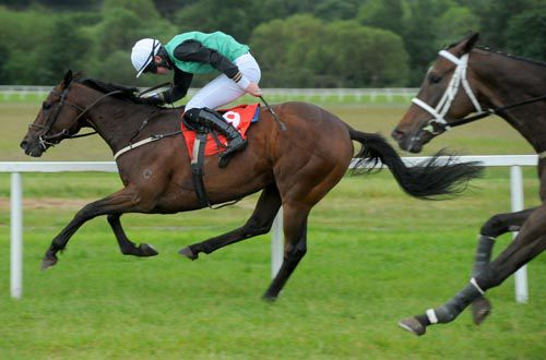 Giant's Quest wins in the Numbersixvalverde colours at Cork