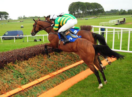 Alpine Eagle pictured winning at Ballinrobe on his last start