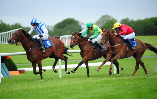 Oscar Wings (yellow/green colours) about to challenge between horses in the final furlong