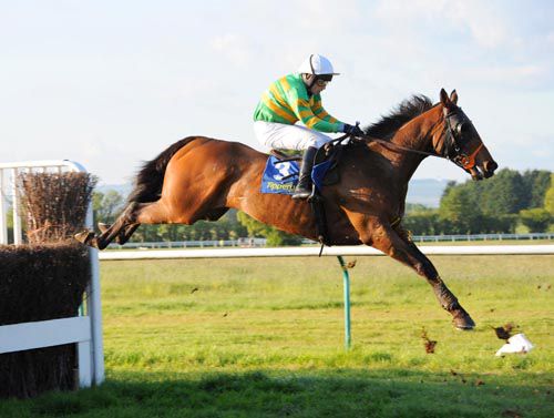 Harold's Cross (Alan Crowe) in full flight over the last to easily land the handicap chase