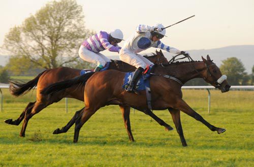 Mikey Fogarty drives out Ut Love to beat Deep Determination (partly hidden) in the bumper