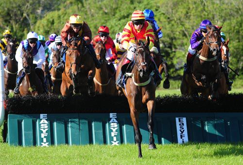 Tear Drops leads the field in the early stages at Tramore