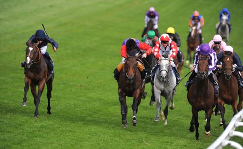Pour Moi (outer) winning yesterday
