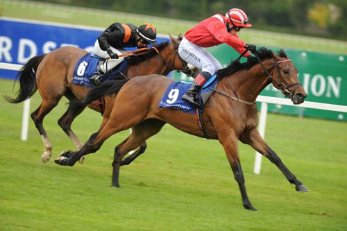 Words Of Wisdom and Ray Dawson are about to win at Leopardstown