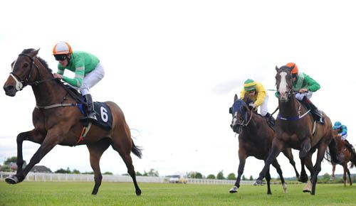 Stones Peak and Padraig Beggy lead them home