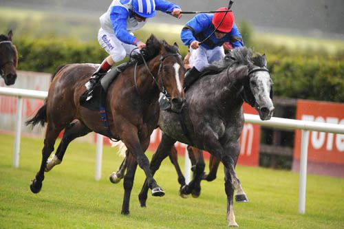 Patrickswell (grey) fights back to pip The Reaper